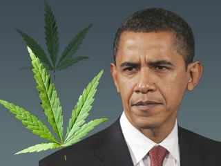 Obama ja kannabis. Kuva: ABC News